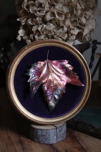 Image 3 of Cornice 8 in legno dorato con foglia maxi di platano acerifolia in rame e retro dark botanico/spooky