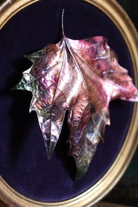 Image 4 of Cornice 8 in legno dorato con foglia maxi di platano acerifolia in rame e retro dark botanico/spooky