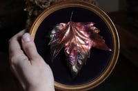 Image 1 of Cornice 8 in legno dorato con foglia maxi di platano acerifolia in rame e retro dark botanico/spooky