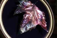 Image 5 of Cornice 8 in legno dorato con foglia maxi di platano acerifolia in rame e retro dark botanico/spooky