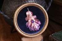 Image 1 of Cornice 9 in legno dorato con spilla foglia di quercia in rame e ametista  e retro dark botanico