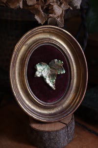 Image 1 of Cornice 10 in legno dorato con spilla foglia di edera in rame e retro dark botanico/sottobosco