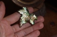 Image 3 of Cornice 10 in legno dorato con spilla foglia di edera in rame e retro dark botanico/sottobosco