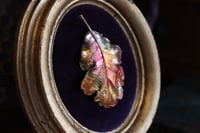 Image 4 of Cornice 11 in legno dorato con spilla foglia di quercia in rame e retro dark botanico/sottobosco