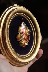 Image 5 of Cornice 11 in legno dorato con spilla foglia di quercia in rame e retro dark botanico/sottobosco