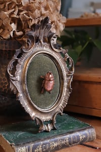 Image 1 of Cornice 13 vintage dorata stile barocco con scarabeo rinoceronte "Gustave" e retro dark botanico