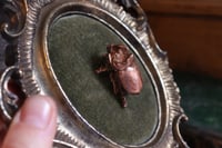 Image 4 of Cornice 13 vintage dorata stile barocco con scarabeo rinoceronte "Gustave" e retro dark botanico