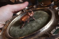 Image 3 of Cornice 13 vintage dorata stile barocco con scarabeo rinoceronte "Gustave" e retro dark botanico