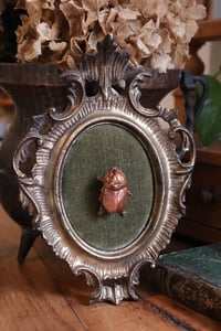 Image 6 of Cornice 13 vintage dorata stile barocco con scarabeo rinoceronte "Gustave" e retro dark botanico