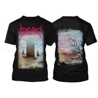 Disgrace – Grey Misery TS