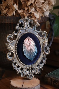 Image 1 of Cornice 17 in ottone stile barocco con spilla rovo in rame dipinto e retro "pozioni magiche"