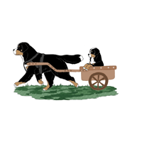 Payment for Draft Workshop