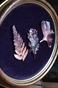 Image 6 of Cornice 21 in legno dorato con 3 spilla felce, quercia, ginkgo in rame e retro "pozioni magiche"