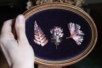 Image 1 of Cornice 21 in legno dorato con 3 spilla felce, quercia, ginkgo in rame e retro "pozioni magiche"