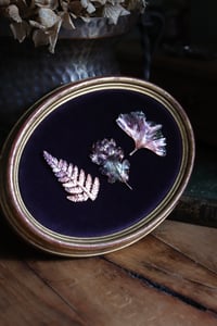 Image 5 of Cornice 21 in legno dorato con 3 spilla felce, quercia, ginkgo in rame e retro "pozioni magiche"