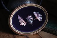 Image 3 of Cornice 21 in legno dorato con 3 spilla felce, quercia, ginkgo in rame e retro "pozioni magiche"