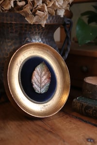 Image 6 of Cornice 22 in legno dorato con spilla foglia di rovo dipinto e retro "teschio"