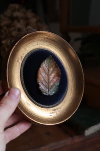 Image 5 of Cornice 22 in legno dorato con spilla foglia di rovo dipinto e retro "teschio"