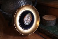 Image 1 of Cornice 22 in legno dorato con spilla foglia di rovo dipinto e retro "teschio"