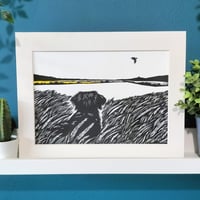 Image 1 of Birdwatcher 