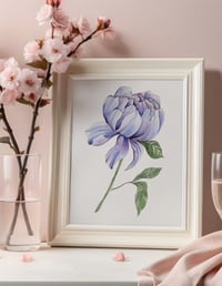 Image 1 of Peri Winkle Print