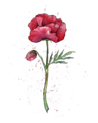 Image 2 of Redeeming Red Print