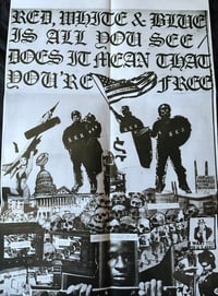 Image 3 of Reagan Youth – "Youth Anthems For The New Order"12" (color vinyl  / poster sleeve)