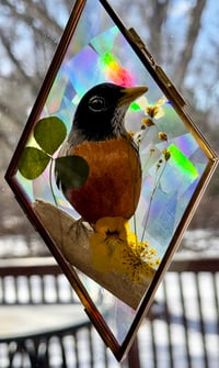 Image 1 of Robin Suncatcher 