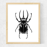 Beetle Print, Art Print, A5, Wall Art, Home Decor