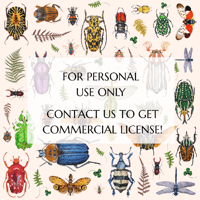 Image 3 of Seamless repeat pattern Insect & Beetle 