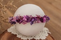 Newborn/Sitter Halo 304