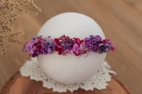 Newborn/Sitter Halo 305