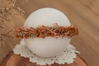 Newborn/Sitter Halo 307