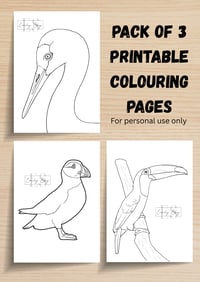 Bird Colouring Pages, Pack of 3, Colouring Pages, Printable Colouring Pages, Digital Download 