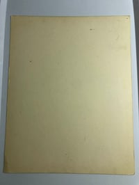 Image 2 of 1982 Spider Webb production flash 11x14