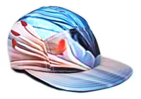 Image 3 of Photosynthesis 2 