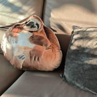 Image 4 of Sloth Beanbag Chair Plush Shaped Pillow