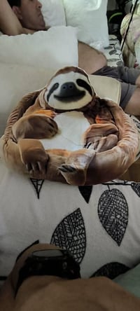 Image 5 of Sloth Beanbag Chair Plush Shaped Pillow