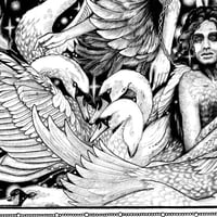Image 2 of The Children of Lir