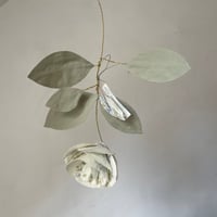 Image 2 of Être fleur bleue n*11