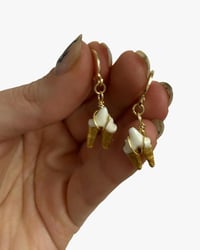 Fox Tooth Hoops
