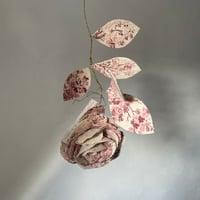 Image 2 of Mignonne, allons voir si la rose …n*2