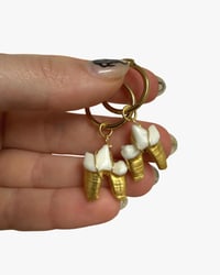 Fox teeth hoops I