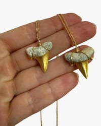 Shark Tooth Necklace S