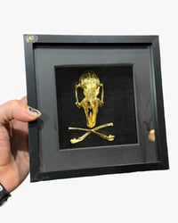 Rabbit skull and crossbones