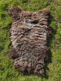 Image 1 of Harting Black #12