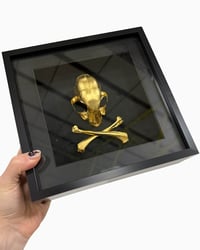 Cat skull and crossbones