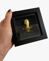 Rat skull and crossbones