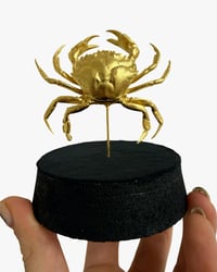 Image 1 of Crab globe