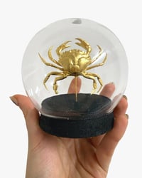 Image 3 of Crab globe